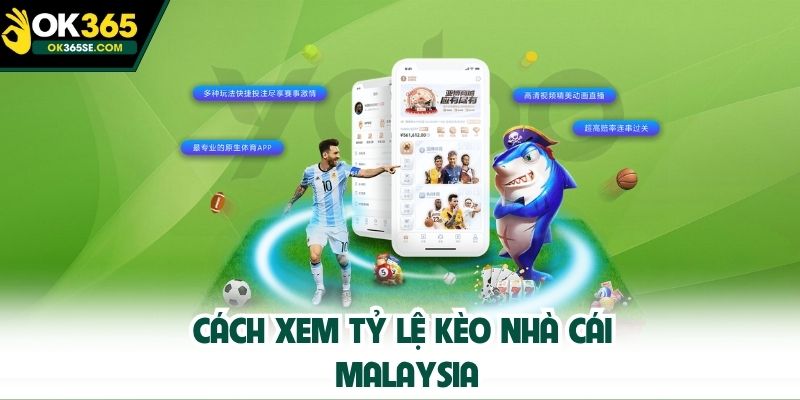 Cách xem tỷ lệ kèo nhà cái Malaysia