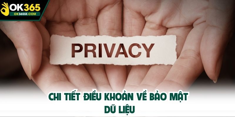 Chi tiết điều khoản về bảo mật dữ liệu