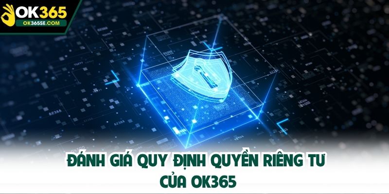 Đánh giá quy định quyền riêng tư của OK365