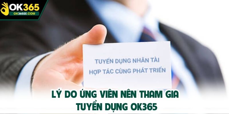 Lý do ứng viên nên tham gia tuyển dụng OK365