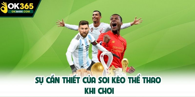 Sự cần thiết của soi kèo thể thao khi chơi