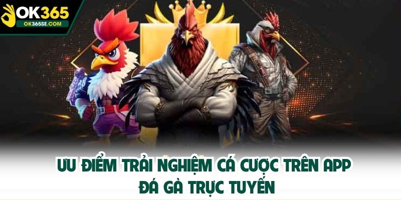 Ưu điểm trải nghiệm cá cược trên app đá gà trực tuyến